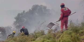 Ante el aumento de los incendios: Bomberos Forestales hacen un llamado a la población en Boconó