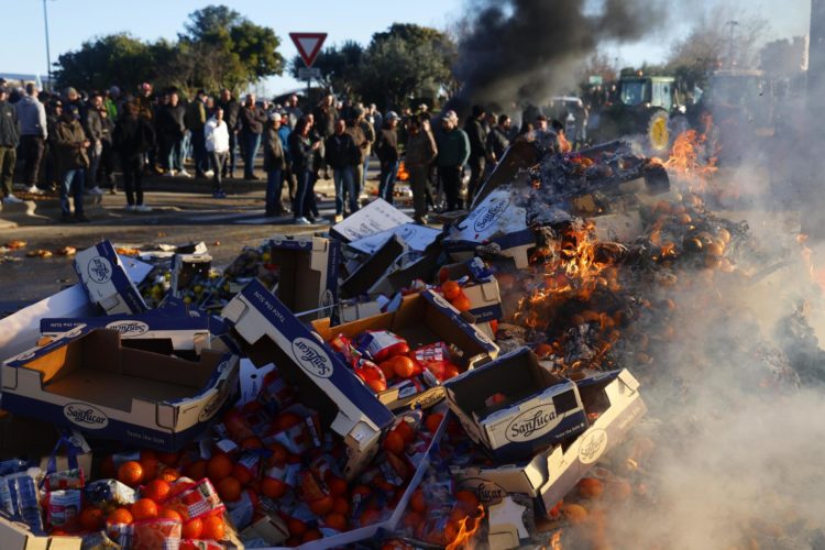 Agricultores franceses queman frutas españolas durante una manifestación en la que han bloqueado la autopista A9 en Nîmes, en el sur de Francia, este 25 de enero de 2024 en demanda de mejores precios. EFE/EPA/GUILLAUME HORCAJUELO