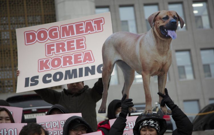 Miembros de grupos animalistas sostienen pancartas en Seúl para celebrar la aprobación en la Asamblea Nacional de una ley que prohíbe el comercio de carne de perro. EFE/Jeon Heon-Kyun