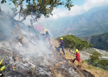 Bomberos de Boconó controlan incendio forestal en Tostós