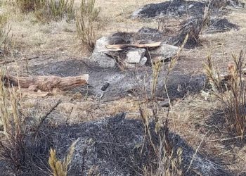 Alarman incendios forestales en Boconó: Parque Nacional Ramal de Calderas, Burbusay y Niquitao
