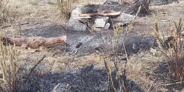 Alarman incendios forestales en Boconó: Parque Nacional Ramal de Calderas, Burbusay y Niquitao