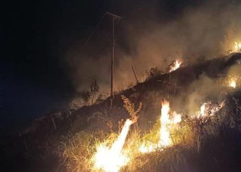 Jehyson Guzmán: Los incendios forestales nos afectan directamente a todos