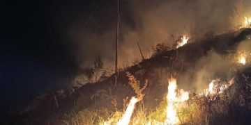 Jehyson Guzmán: Los incendios forestales nos afectan directamente a todos