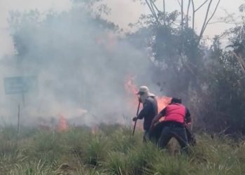 Incendios en Trujillo afectan 275 hectáreas de vegetación