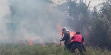 Incendios en Trujillo afectan 275 hectáreas de vegetación