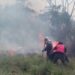 Incendios en Trujillo afectan 275 hectáreas de vegetación
