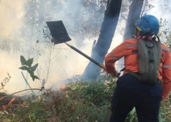 Más de 40 incendios forestales registra Trujillo durante la última semana