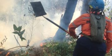 Más de 40 incendios forestales registra Trujillo durante la última semana