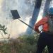 Más de 40 incendios forestales registra Trujillo durante la última semana