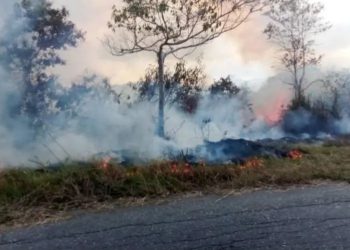 Tres municipios de Trujillo afectados por incendios forestales