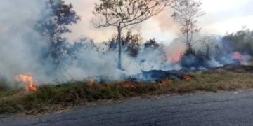 Tres municipios de Trujillo afectados por incendios forestales