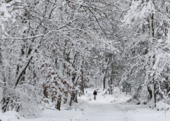 La tormenta invernal en EE.UU. deja al menos tres muertos y cortes de electricidad