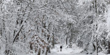 La tormenta invernal en EE.UU. deja al menos tres muertos y cortes de electricidad