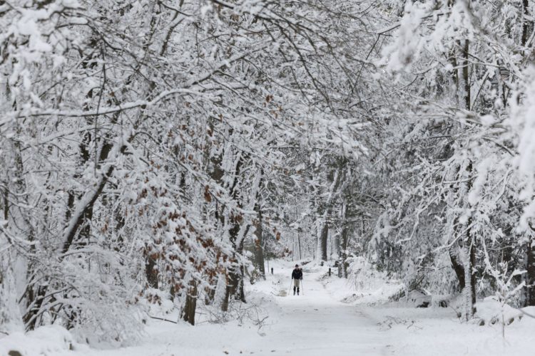 Un hombre atraviesa el Parque Histórico Nacional Minute Man cubierto de nieve, en Lincoln, Massachusetts (EE.UU.), este 9 de enero de 2024. EFE/EPA/CJ Gunther