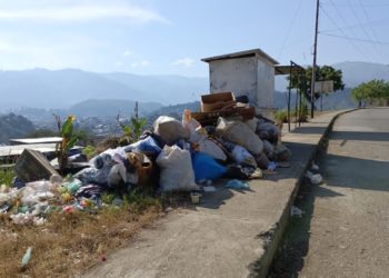 Concejales alertan: acumulación de basura en la urbe perjudica la salud de los valeranos  