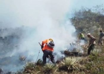 Daño ambiental: Incendio afecta al Parque Nacional Ramal de Caldera en Boconó