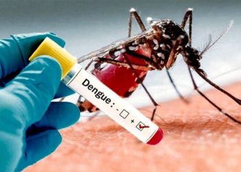 Alertan sobre aumento de casos de covid, influenza y dengue en Mérida