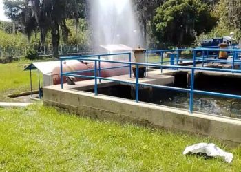 Se llevaron hasta los cables eléctricos de la Biaci- ULA