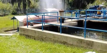 Se llevaron hasta los cables eléctricos de la Biaci- ULA