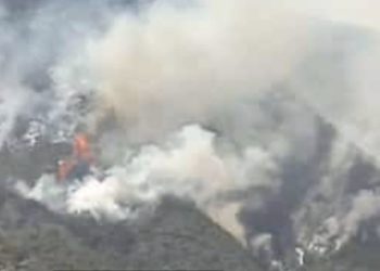 Al menos 90 incendios han ocurrido en el estado Mérida en lo que va de 2024