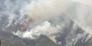 Al menos 90 incendios han ocurrido en el estado Mérida en lo que va de 2024