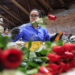 El mundo regalará rosas únicas en San Valentín gracias a los campos de Colombia