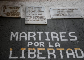 Una década de dolor y 43 vidas interrumpidas, el recuerdo de las protestas de Venezuela