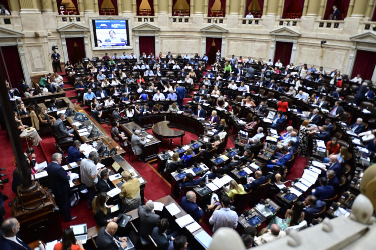 Vista de la Cámara de Diputados durante la discusión de los artículos de la "ley ómnibus" hoy, en Buenos Aires (Argentina). EFE/Matías Martín Campaya