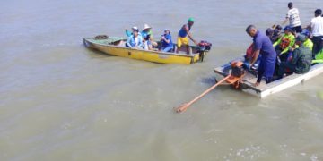 Jornada de Saneamiento en el Lago de Maracaibo en lo que corresponde a la Ceiba