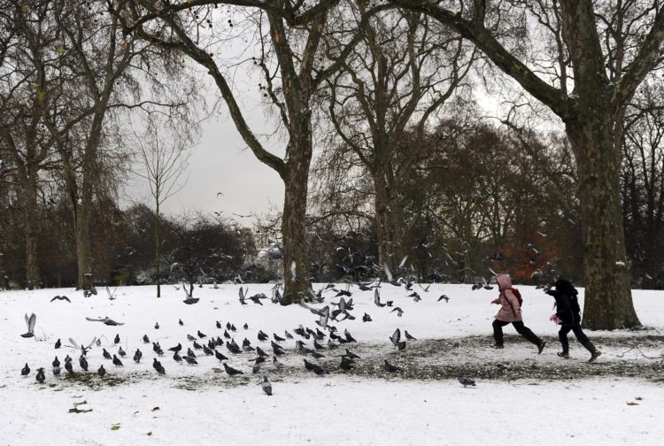 En la imagen de archivo, dos niños persiguen palomas en un parque nevado. EFE/Andy Rain
