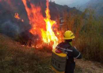Preocupación por incremento de incendios forestales durante febrero en Boconó