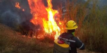 Preocupación por incremento de incendios forestales durante febrero en Boconó