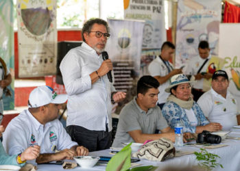 Esperanza y retos en el encuentro del Consejo de Seguridad con exguerrilleros en Colombia