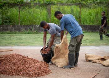 Los agricultores de Venezuela claman por financiamiento bancario y combustible
