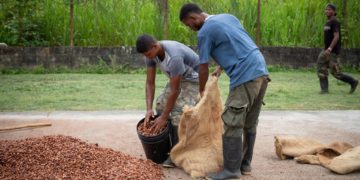 Los agricultores de Venezuela claman por financiamiento bancario y combustible