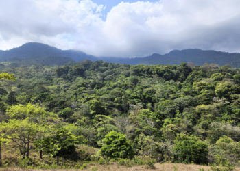 Cuatro muertos y tres heridos en un accidente de helicóptero militar de Colombia en el Darién
