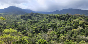 Cuatro muertos y tres heridos en un accidente de helicóptero militar de Colombia en el Darién