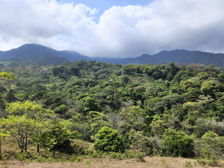 Vista del Darién (Panamá), en una fotografía de archivo. EFE/Bienvenido Velasco