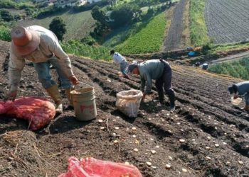 Agricultor que viajaba con frecuencia desde Trujillo fue secuestrado y asesinado en Caracas