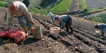 Agricultor que viajaba con frecuencia desde Trujillo fue secuestrado y asesinado en Caracas