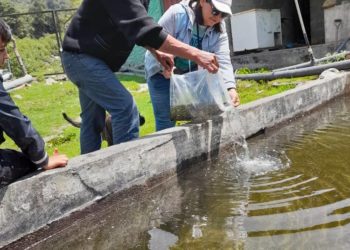 Unidades de producción truchícola de Pueblo Llano fueron reactivadas con financiamientos
