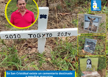 Táchira | En San Cristóbal existe un cementerio destinado a sepultar mascotas 