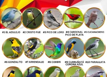 Totalización de votaciones de los Símbolos Naturales de Sucre será el sábado 2 de abril