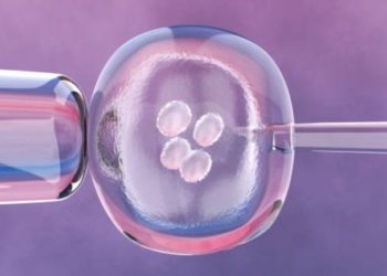 ¿Qué significa el fallo en Estados Unidos sobre la fecundación ‘in vitro’?