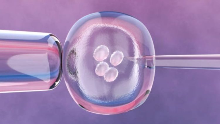 El Supremo de Alabama provocó incertidumbre sobre la fecundación 'in vitro' al determinar que los embriones congelados son niños no nacidos. Foto Cortesía