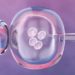 ¿Qué significa el fallo en Estados Unidos sobre la fecundación ‘in vitro’?