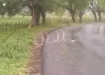 Lo advirtieron y no los escucharon: Se cayeron tres postes eléctricos dejando sin servicio a parte del municipio Alberto Adriani