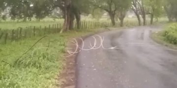 Lo advirtieron y no los escucharon: Se cayeron tres postes eléctricos dejando sin servicio a parte del municipio Alberto Adriani