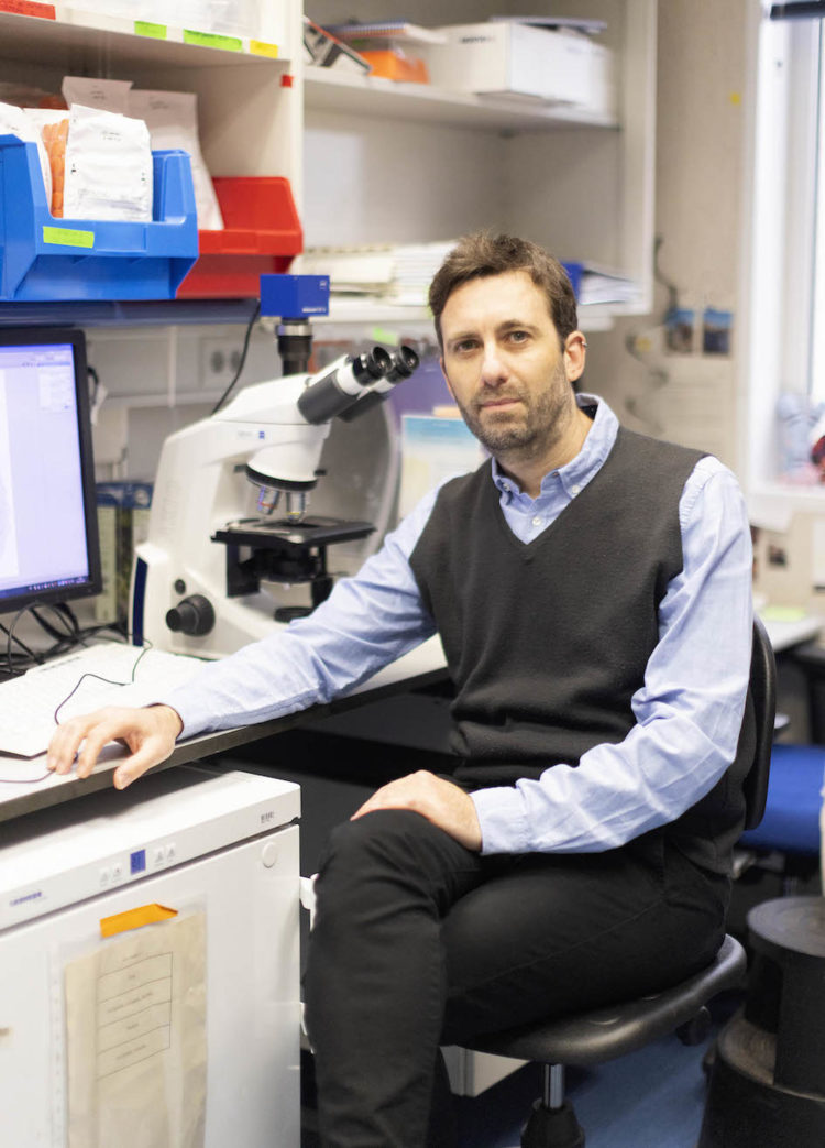 Alejo Efeyan, jefe del Grupo de Metabolismo y Señalización Celular del Centro Nacional de Investigaciones Oncológicas (CNIO), en su laboratorio. Imagen cedida por el CNIO.